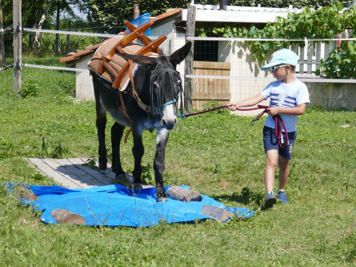 Gite En Comminges Franquevielle Zewnętrze zdjęcie